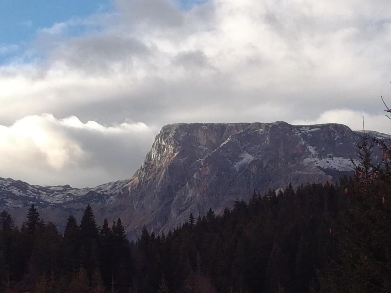 Apartment Durmitor Žabljak Exterior foto